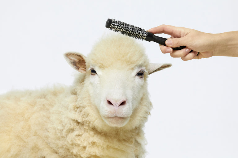 - A sustainable wool Patou - A sustainable wool
