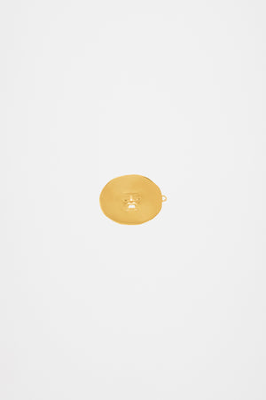 Large face brass hairclip