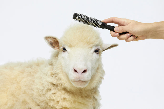 Patou - Recycled Wool