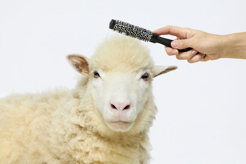 Patou - Recycled Wool