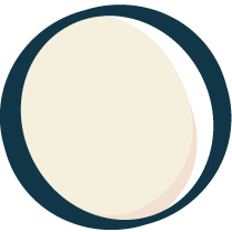 No Label Snowberry White
