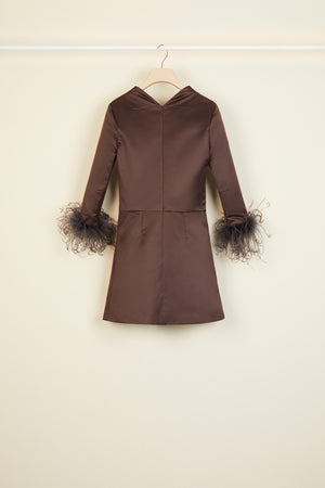 Feather-embellished satin dress